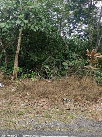 Tanah 2.75 ekar Tanjung Kupang 1
