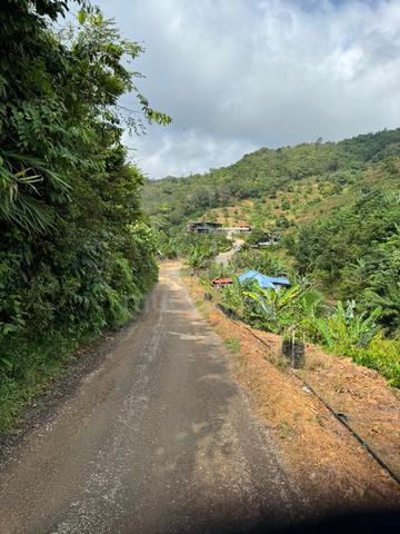 Pahang Raub Freehold next to Bilut Hill Agriculture Land for Sale 1
