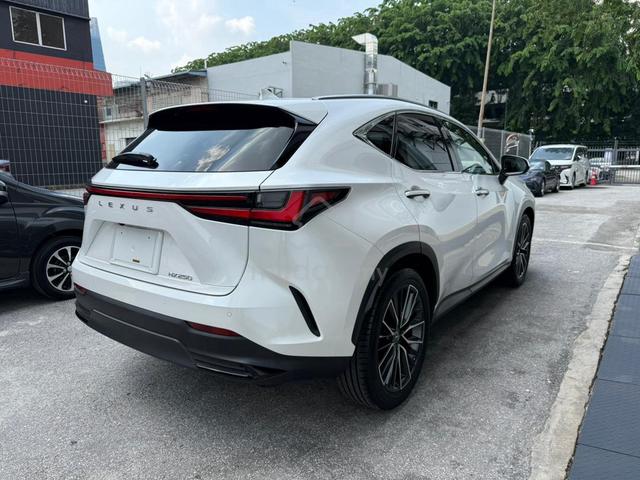 2023 Lexus NX250 2.5 Version L 23K Km P/ROOF 4 CAM - 2