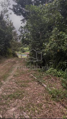 Tanah Pertanian Dijual 1