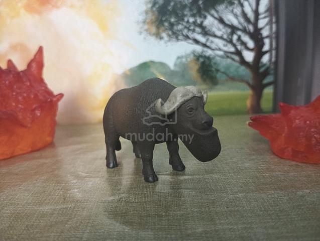 Carousel Image