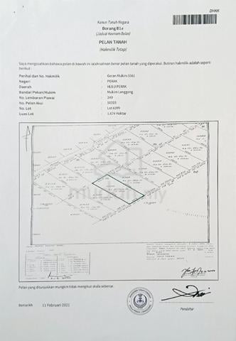Tanah Pertanian Sawit 1