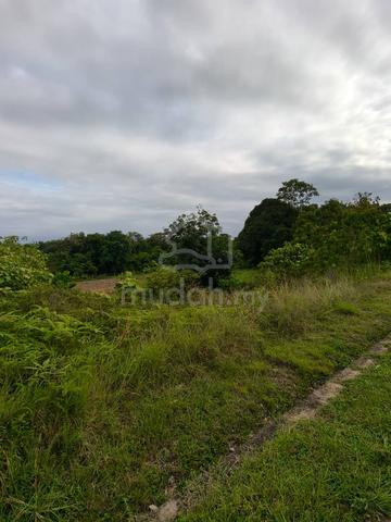 Tanah Untuk Dijual 1