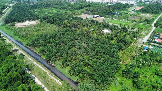 4.8acre Tanah Kg. Nelayan Telok Gong, Klang 1