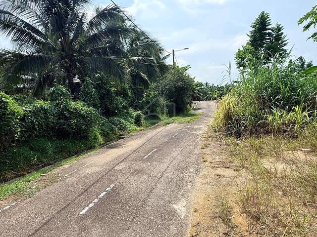 Tanah Kampung Baru Kelapa Sawit Kulai 1