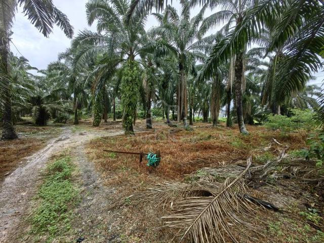 7.5 Acres Zone Residential Main Road Olak Lempit Banting Dengkil 3
