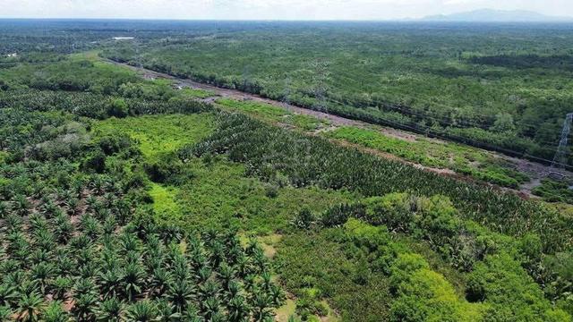 Tanah Mukim Sg Karang Pontian Johor 1