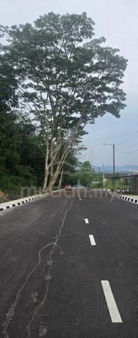Tanah Zonning Industrial di P.Pinang 1