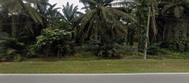 Ulu Choh Zoning Tanah Perkuburan Cina Cemetery Land Road Side Pontian 1