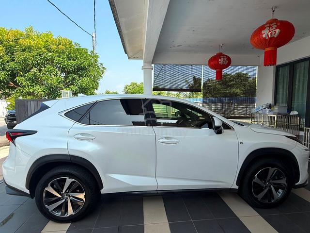2018 Lexus NX300 2.0 PREMIUM (A) - 3