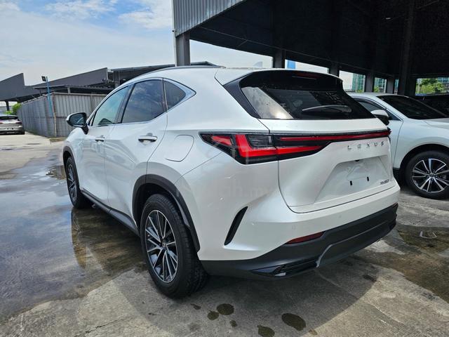 2023 Lexus NX250 2.5 P/Roof 4Cam BSM HUD Unreg - 2