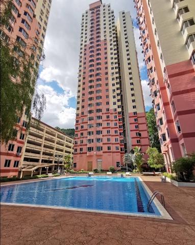Kingfisher Series Condominium 1