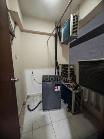 Molek Pine 2 1