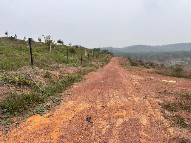 Freehold Agriculture Land For Sale At Rompin,Bahau,Negeri Sembilan 1