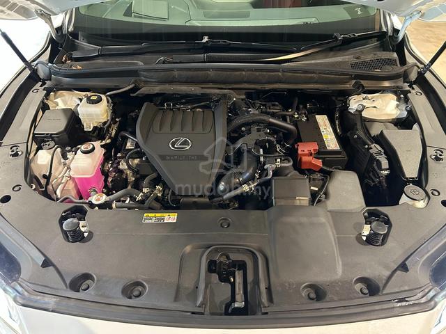 2024 Lexus RX350 2.4 F SPORT (A) - 5