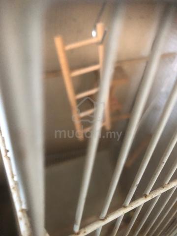 Carousel Image