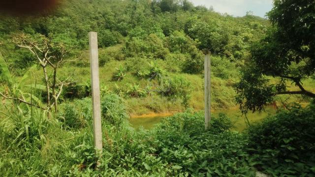 BATU 30 BATANG KALI ulu yam agricultural land sale 1