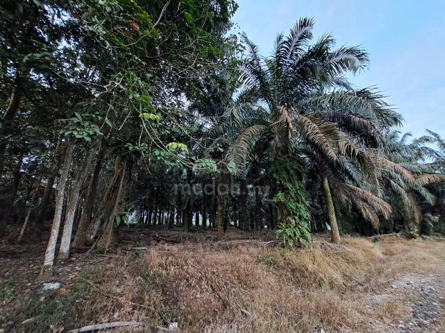 Rimba Terjun Pontian Utama 4 Acre Agricultural Land Rm7 psf 1