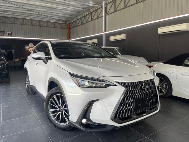 2023 Lexus NX 250 2.5 GRADE 5/A JPN UNREG - 1