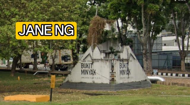 Bukit Minyak Industrial Land 2.95acre Freehold Bukit Mertajam Penang 1