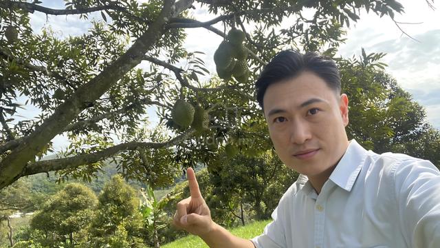 Freehold Musang King & Black Thorn Durian Land Kati Kuala Kangsar 1