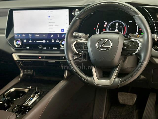 2024 Lexus RX350 2.4 VERSION L PRF 360CAM DIM BSM - 5