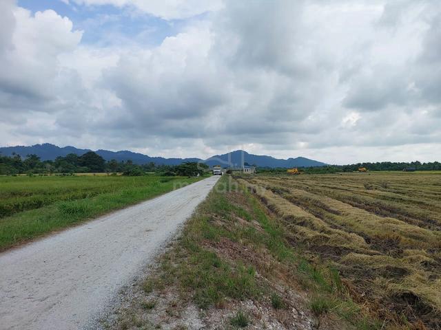BALIK PULAU, Penang, Tanah Pertanian (Tanaman Padi), Akses baik 1