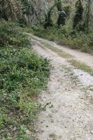 Tanah 1 Ekar Tepi Sungai Ada Akses Jalan 5