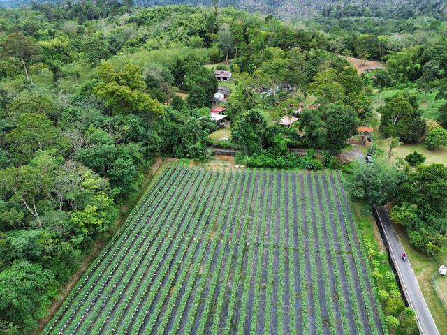 Tanah Sungai Lui, Hulu Langat 1