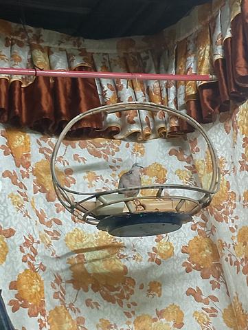 Carousel Image