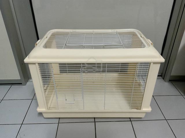 View of hamster cage - Pets for sale in Seri Kembangan, Selangor