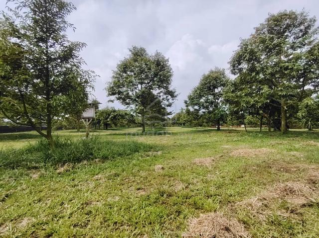 [FREEHOLD] Jasin Merlimau Melaka Agriculture Land With Durian Farm 1