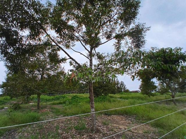 FREEHOLD agricultural Land 1.214 Hektar Kg Jambu Rias Bentong 1