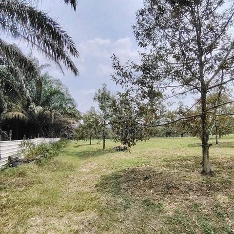 7.4 Acres Agriculture Zoning Residential Land @ Ulu Tiram, Johor 1