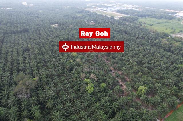 Mukim Morib Banting, Kanchong Agriculture Land for Sale 3
