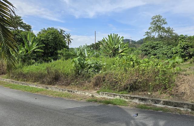 5995 SF Bungalow Lot, Mantin, Negeri Sembilan 1