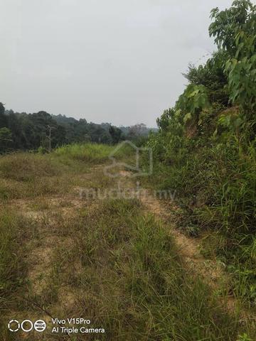 [URGENT] Tanah Sawit Terbiar Freehold 6.6 ekar Kuala Lipis Agriculture 1