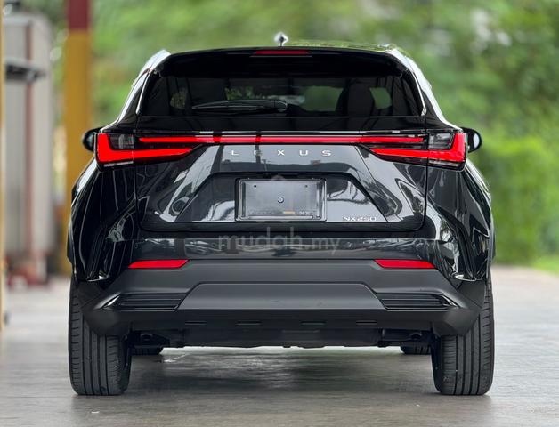 2023 Lexus NX 250 2.5 BASE GRADE (A) - 2