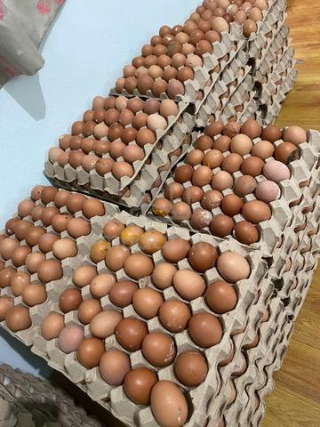 Telur 🐔 fresh direct ladang - photo 2 of 6