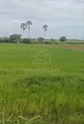 tanah untuk dijual 1