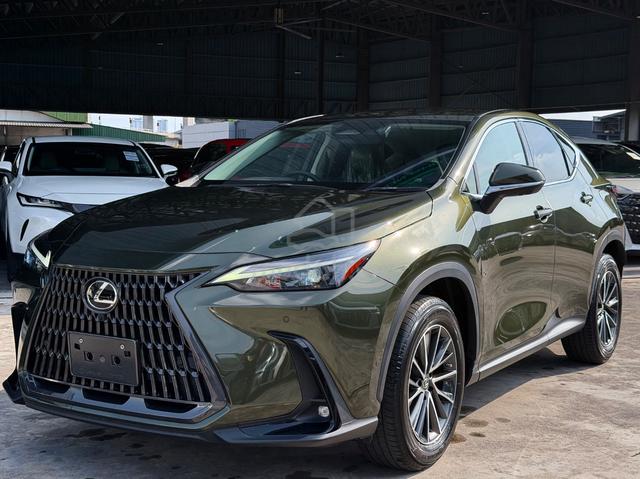 2023 Lexus NX250 2.5 BASE/Army Green/Dim/4Cam - 4