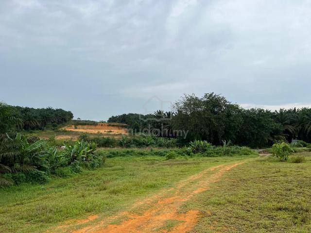 Senai Seelong 6.356 Acres Agriculture zoning Industrial Land for Sale 1