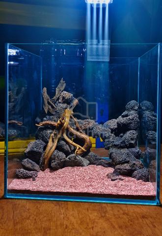 hardscape aquascape full set cube cc tank baru - Pets for sale in Ipoh ...