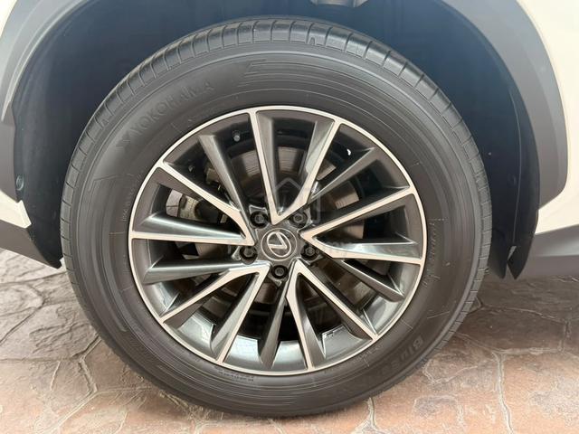 2023 Lexus NX250 2.5 BASE (A) - 2