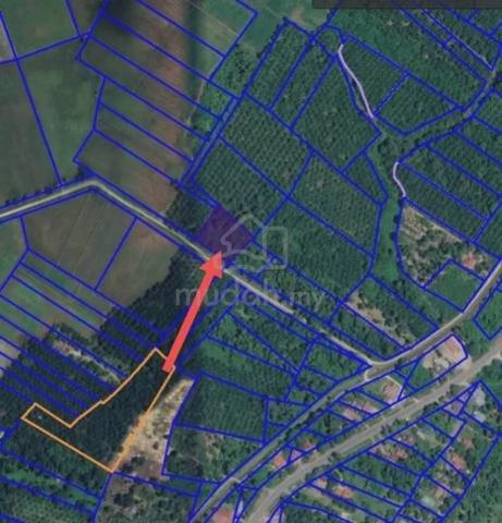 Freehold Rizab Melayu 0.2km ke Jalan Besar, Bota Kiri 1