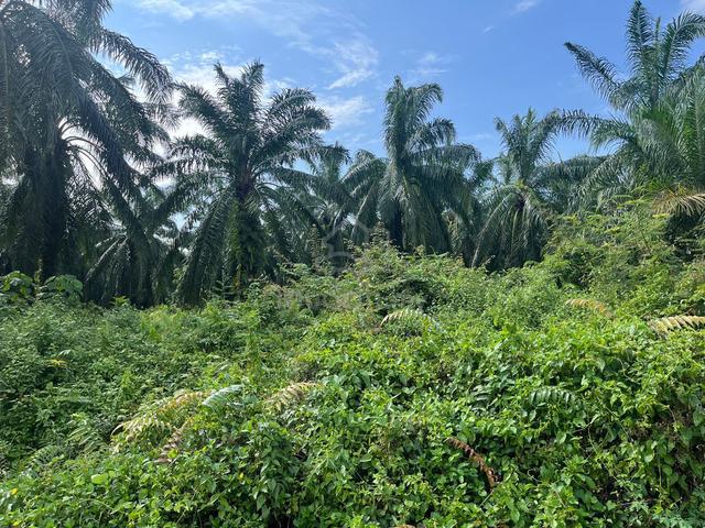 23 Acres Jeram | Industrial Conversion Potential | Freehold 1