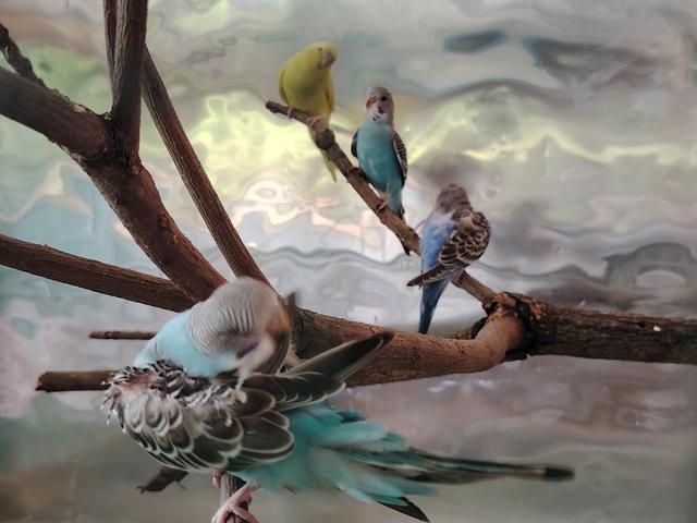 Carousel Image