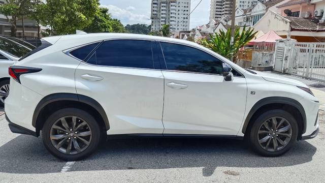 2018 Lexus NX300 2.0 F SPORT (A) - 4