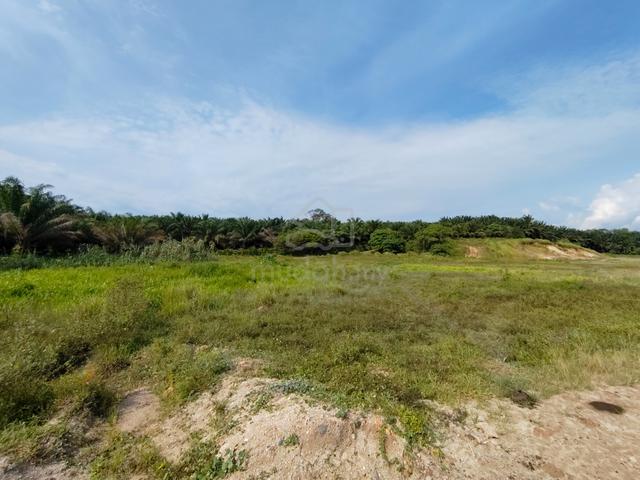 Land for Rent 5