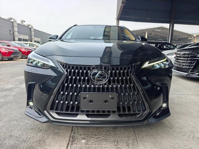 2023 Lexus NX 250 Luxury Mark Levinson P/Roof 4Cam - 3